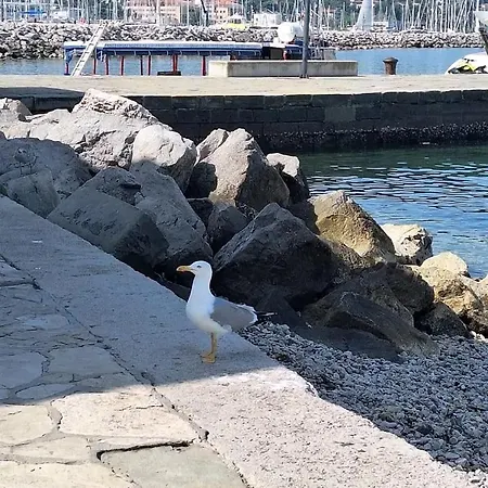 아파트 Vanilla 이졸라