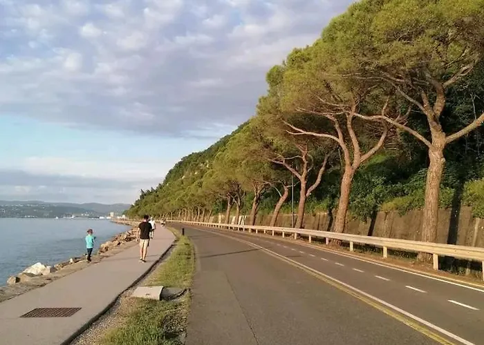 Vanilla Apartamento *