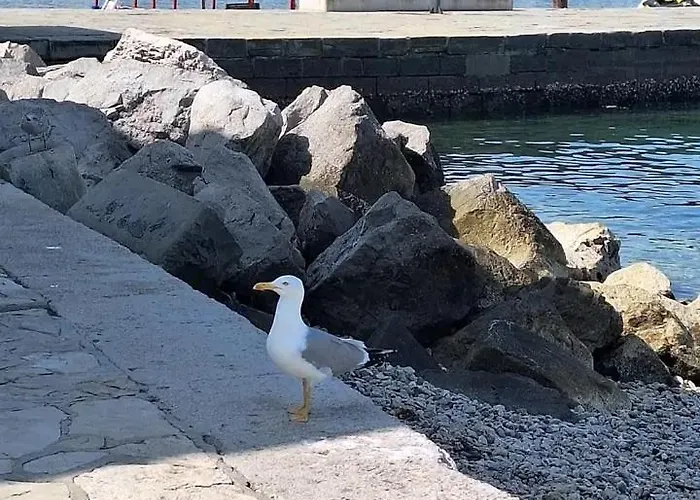 Apartment Vanilla Izola