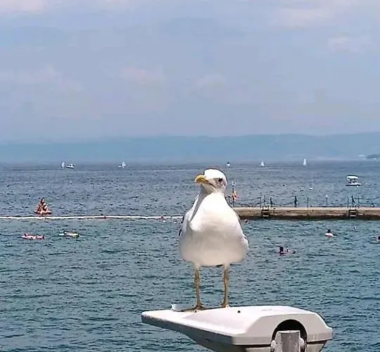 Vanilla アパート イゾラ